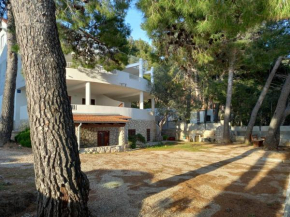 Apartments by the sea Ivan Dolac, Hvar - 21269